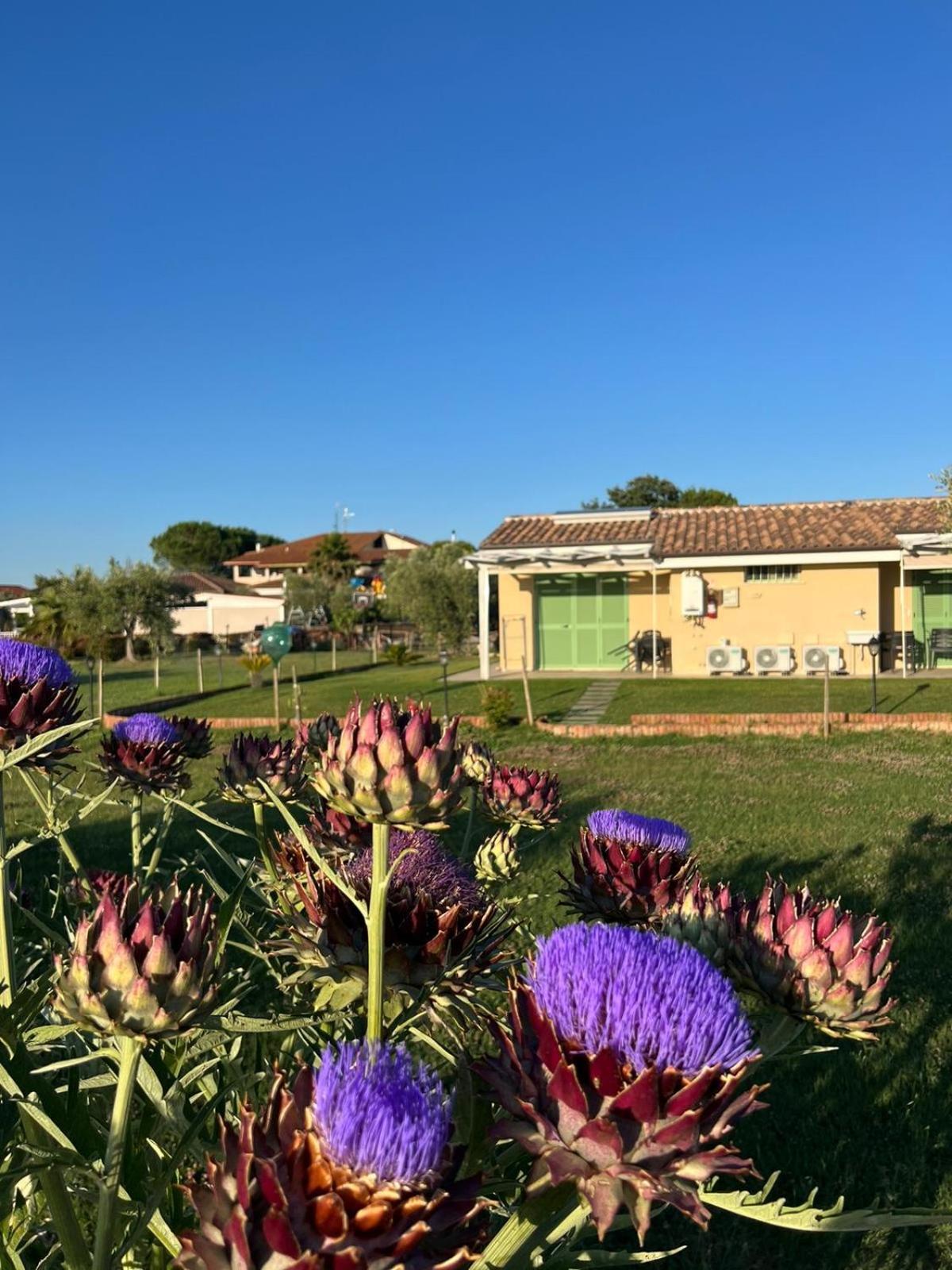 הוילה פרינצ'יפינה טרה Il Giardino Di Nunzia מראה חיצוני תמונה